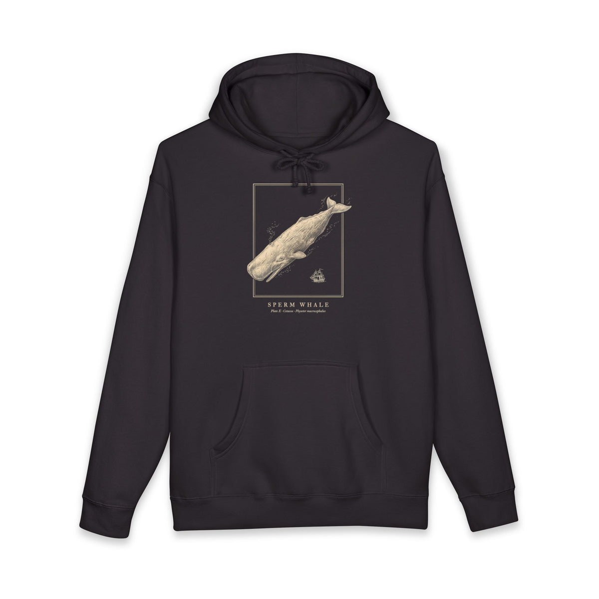 Sperm Whale Engraving Heavyweight Hoodie – Physeter Plate