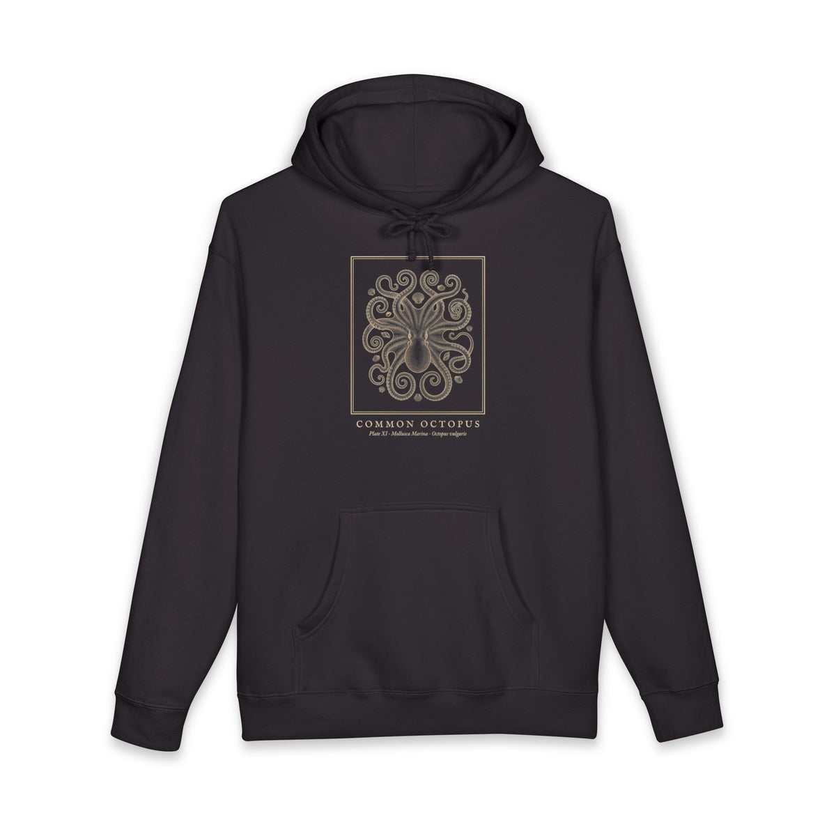 Octopus Engraving Heavyweight Hoodie – Octopus Vulgaris Plate