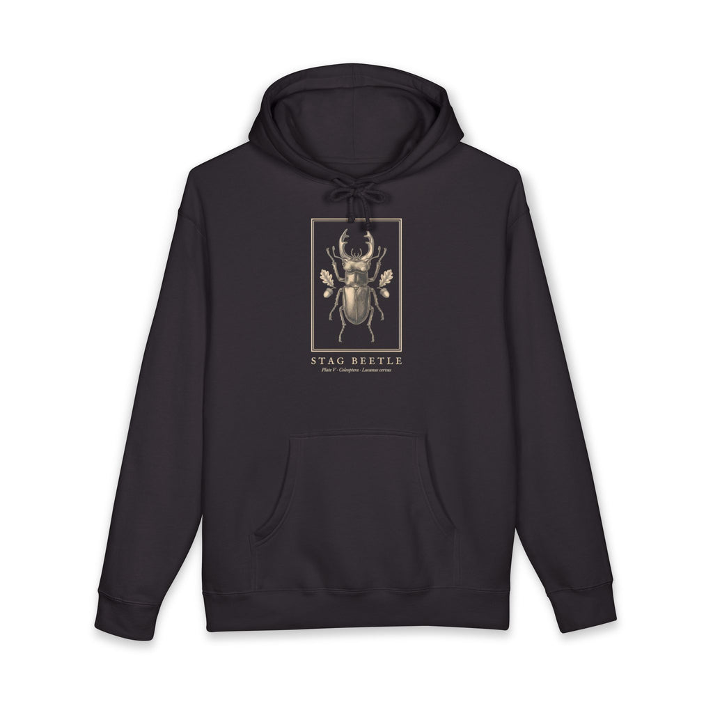Stag Beetle Engraving Heavyweight Hoodie – Lucanus Cervus Plate