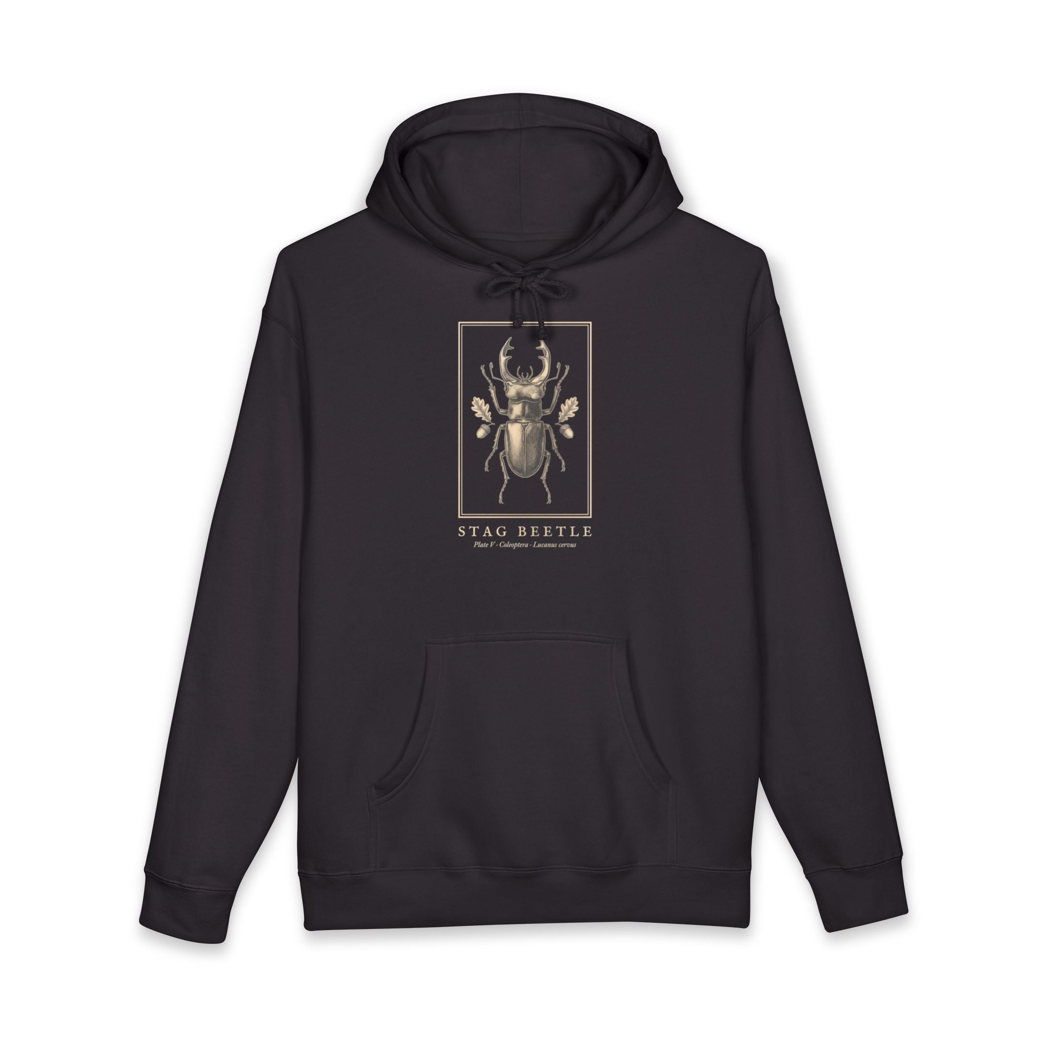 Stag Beetle Engraving Heavyweight Hoodie – Lucanus Cervus Plate