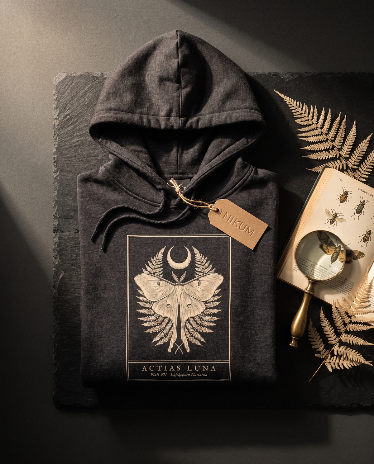 Actias Luna Moth Engraving Heavyweight Hoodie – Vintage Botanical Plate