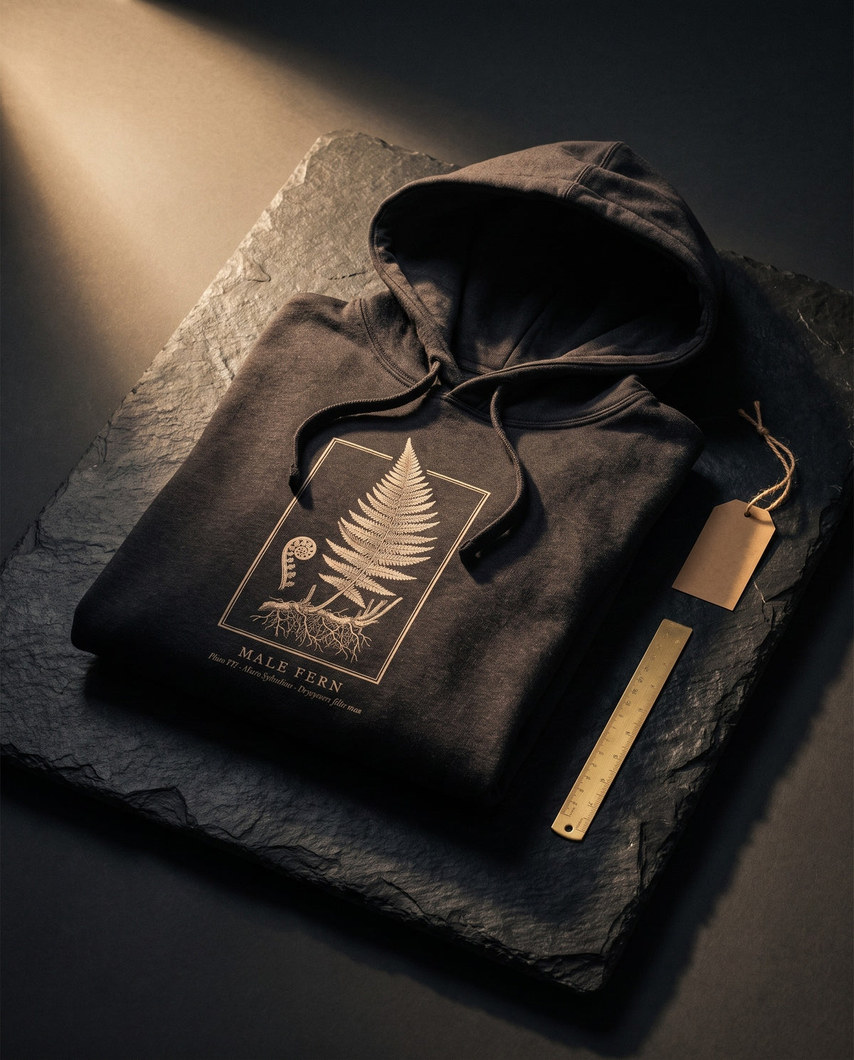 Fern Engraving Heavyweight Hoodie – Dryopteris Plate