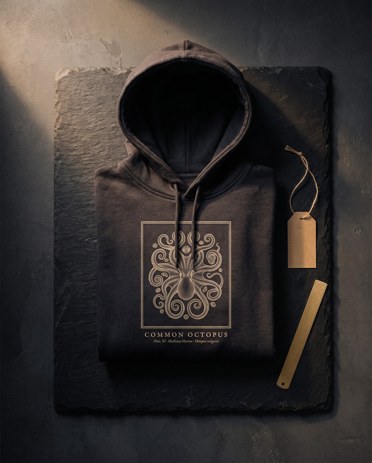 Octopus Engraving Heavyweight Hoodie – Octopus Vulgaris Plate