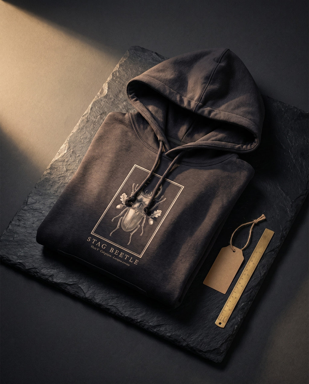 Stag Beetle Engraving Heavyweight Hoodie – Lucanus Cervus Plate
